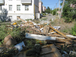 Станислав Васильевич, нельзя ли повторить «трюк» с разгребанием мусорки? - камышанка