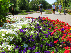 Новую порцию приятной жары дарит природа камышанам: погода 20 августа