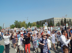 Важное объявление о проведении «Бессмертного полка» сделали в Волгограде, в Камышине пока тишина