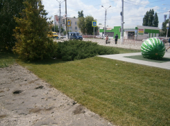 «Бахча» позади памятника «Камышинский Арбуз» трансформируется  в английский газон