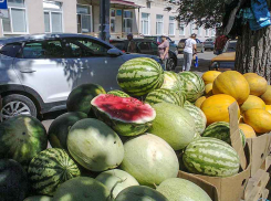 В Камышине рынки заполнились ранними сортами местных арбузов