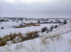 В Камышине административная газета «Диалог» сообщила, что в 2021 году в городе умерло вдвое больше жителей, чем родилось, а как на самом деле?