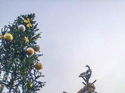 В Камышине на новогодние елки в качестве игрушек попали самоделки детсадовцев