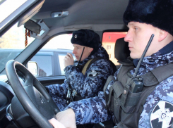 В Камышине сотрудники Росгвардии передали полицейским задержанного парня, находившегося в местном розыске
