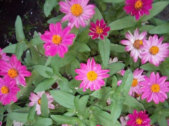 Солнце и короткие дожди обещают синоптики камышанам в сегодняшнюю среду