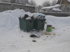 Камышане о вывозе мусора: почему условия существования людей наши власти могут только ухудшать?