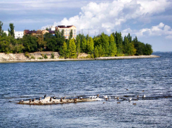 Из-за обмеления Волги у Камышина «разросся» остров для чаек и бакланов