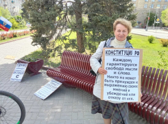 Активистку в десятый раз задержали на одиночном пикете с цитатами из Конституции 