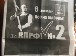 «Кандидат Крикунов стесняется сказать народу, что он идет на выборы от «Единой России»?