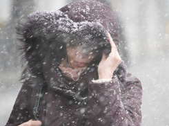 К полуночи завтрашней пятницы 5 февраля Камышин накроет шторм