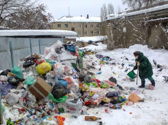 Администрация Камышина предложила горожанам «проголосовать», как лучше собирать мусор в городе