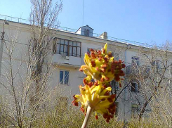 Суббота приходит к камышанам с солнцем, воскресенье - с дождем