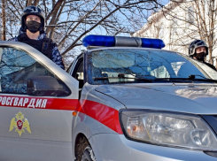 Сотрудники Росгвардии задержали в Камышине «гастролера», умыкнувшего у камышанки телефон