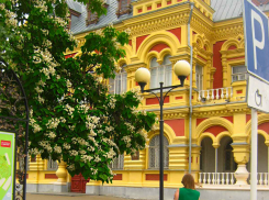 Камышинский историко-краеведческий музей хотят подтянуть до современного