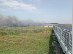 Сильный степной пожар вспыхнул у трассы в Михайловском районе 2 сентября