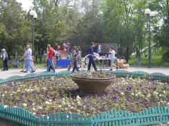 В Камышине у входа в парк Комсомольцев-добровольцев вместо Ленина появилась громоздкая корзина