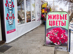 С мороза, тумана и инея началась весна в Камышине