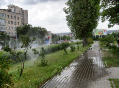 Почему бы все зеленые зоны Камышина не охватить поливочными водопроводами? - камышанка