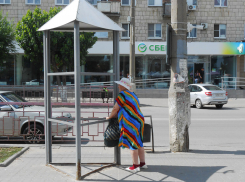 Разве нельзя этот металлический «скворечник» на улице Ленина использовать для дела? - камышанка