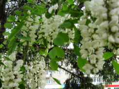 Дождевой фронт накрыл Камышин