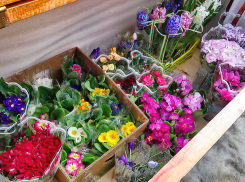 Свежий прогноз на первый праздник весны:  8 Марта Камышин заметет снегом, и ударит мороз в -15!