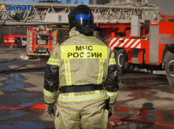 Пассажирские поезда, идущие через станцию Петров Вал под Камышином, задерживаются из-за степного пожара в Волгоградской области