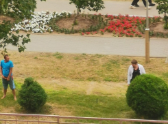 Камышане выложили в соцсетях возмутительные ракурсы бескультурья горожан и неразворотливости властей