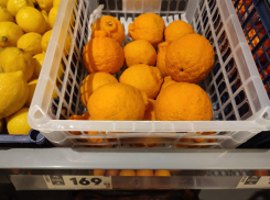 Китайские «носатые» апельсины понравились камышанам