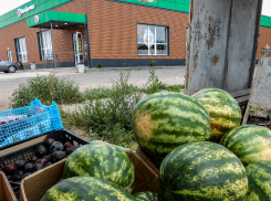В Камышине привезли на продажу липовские арбузы