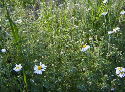 В Камышине случился первый смертельный исход болезни у пациента с подозрением на коронавирус