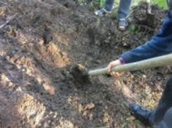 Жуткие страсти на сельском фоне: гражданский муж не потерпел соперника возлюбленной, задушил его и закопал тело