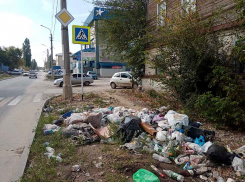 В Камышине безобразная куча мусора растет прямо на дороге к главному храму, - камышанка