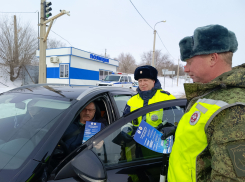 В Камышине сотрудники автоинспекций выехали на трассу для бесед с водителями о «смертельной» встречной полосе