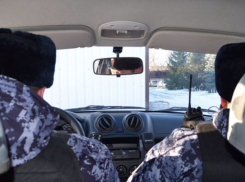 В Камышине росгвардеец Владимир Рощупкин в собственный выходной преследовал и задержал вора, похитившего товары на улице Ленина