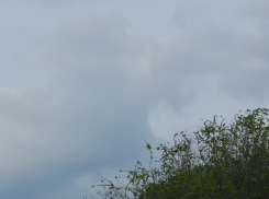 Разбойники ворвались в дом и под ножом заставили хозяина подписать договор на куплю-продажу автомобиля