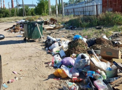 «Ужасная свалка в Камышине: куда смотрит наша администрация?»