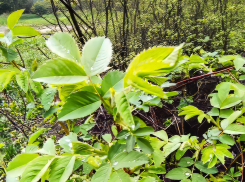 Об очередной порции непогоды вечером сегодня, 24 апреля, предупредили камышан