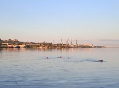 Камышане показали в соцсетях, что они открыли купальный сезон
