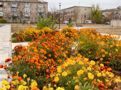 Ноль градусов показали термометры в Камышине 13 октября ночью