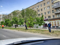 В Камышине «оранжевые жилеты» вышли полоть и «подгребать» улицу Некрасова, вооружившись тяпками и граблями