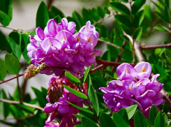 Камышан ждет солнечная теплая суббота, но короткий дождик может «брызнуть»