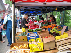 В Камышине морковка побила все ценовые рекорды