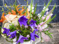 Солнце и легкий освежающий ветерок: комфортная погода в Камышине на 17 июля