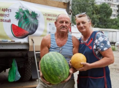 В Камышине на Арбузном фестивале хотят организовать экскурсии туристов к медоварам и бахчеводам