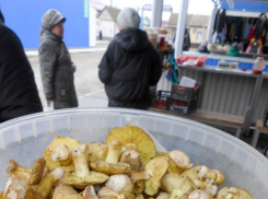 В Соцфонде объяснили, почему массовой доиндексации страховых пенсий с 1 февраля 2026 года ждать не стоит