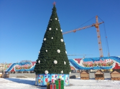 В Камышине разбирают городские новогодние елки