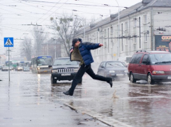 Камышинские водители увиливают от безумных пешеходов - обращение в редакцию