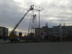 В Камышине елки наряжают все раньше, но праздника не прибавляется