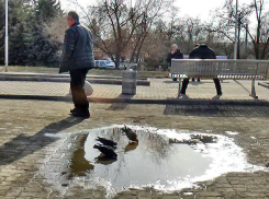 Все накопления - четыре с половиной миллиона «подарил» житель Волгоградской области мошенникам