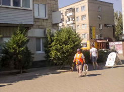 Токари и дворники возглавили ТОП-15 самых дефицитных специальностей Волгоградской области в начале сентября